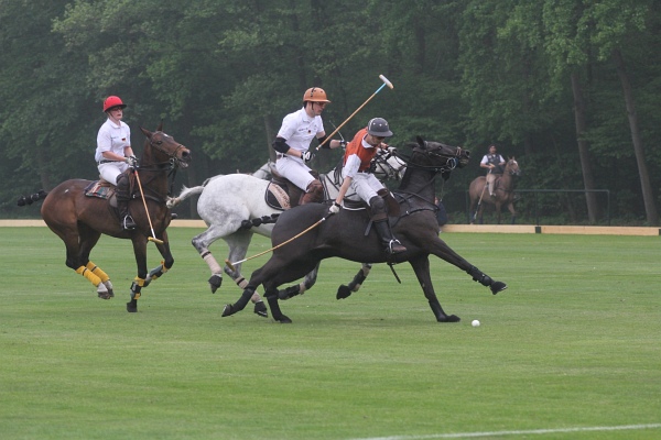 Polo_Art   088.jpg